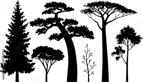Tree Silhouettes Vector Set – Baobab, Pine, Acacia & Leafless Trees