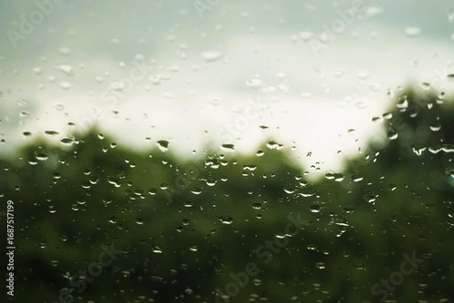 Abstraktes Motiv mit Regentropfenmuster vor grüner Baumreihe und grau-weißem Himmel mit Licht in der Natur bei Regen am Nachmittag im Sommer