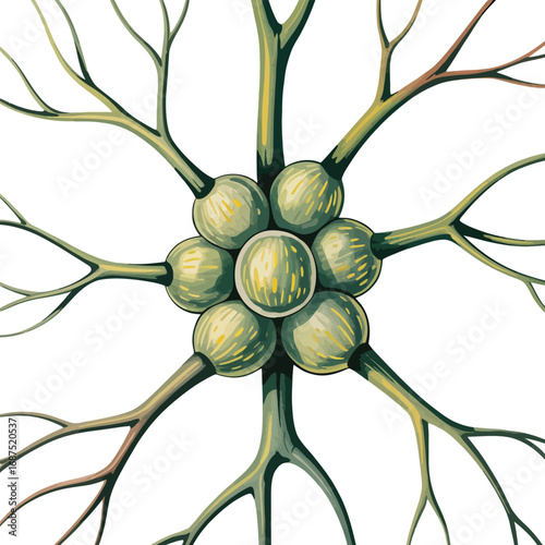 Detailed illustration of a neuron cell body with dendrites and axon branches