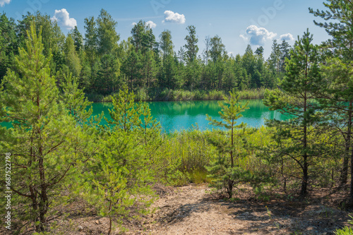 Lake in the forest