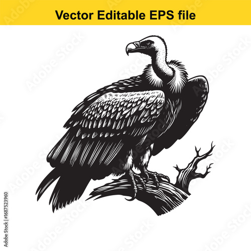  a detailed illustration of a vulture perched on a dead tree branch, isolated on white background