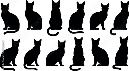 Collection of silhouetted black cats in various poses vector illustration scalable graphic design elements for web and print