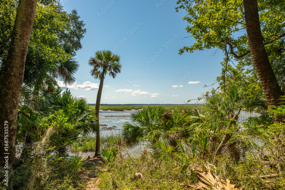 Naklejka premium Scenic view of a serene river surrounded by lush greenery during midday in a tropical environment