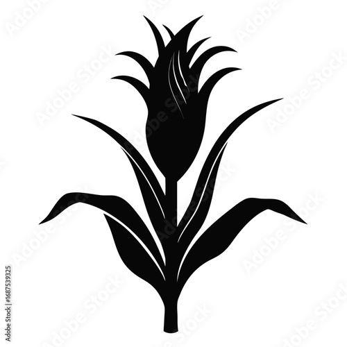 Obraz na płótnie Solid black silhouette of a corn stalk