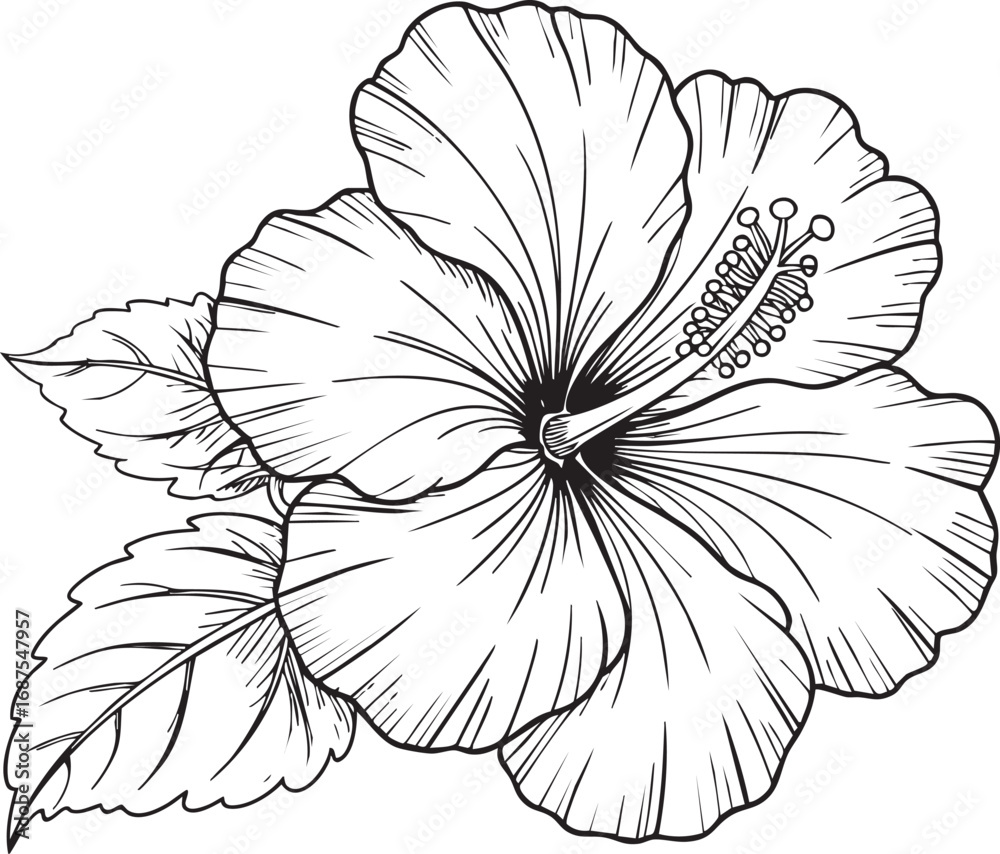 Fototapeta premium Hibiscus Flower Line Art – Black and White Botanical Floral Illustration