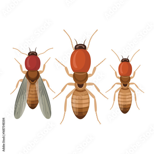 Three termites with wings and without isolated on white background