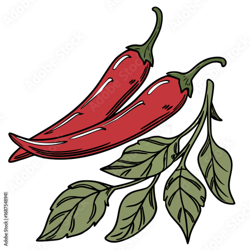 Two red chili peppers with green stems and leaves on a black background create a vibrant and spicy culinary illustration design element