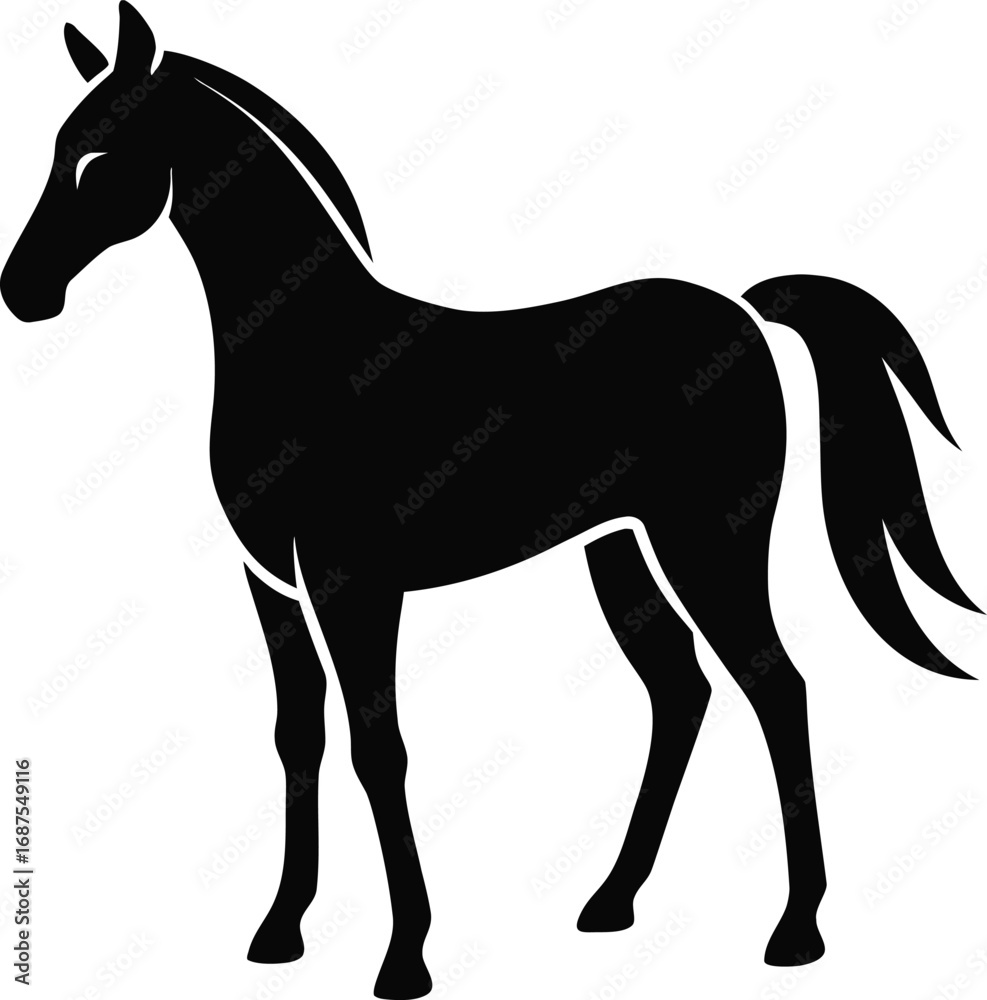 Obraz premium Elegant silhouette of a black horse standing gracefully profile view majestic animal