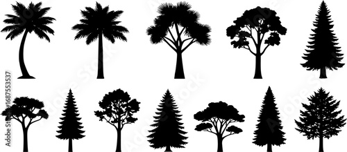 Diverse tree silhouettes including palms and conifers