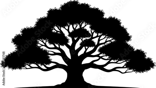 Black silhouette of a mature oak tree white background