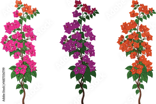 Flowering plant illustration set, pink blossom plant, purple blossom plant, orange blossom plant, botanical vector art, spring floral design, decorative garden foliage, seasonal nature artwork