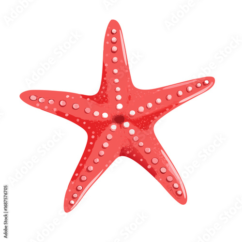 starfish isolated on white background