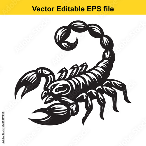  scorpion illustration isolated on white background