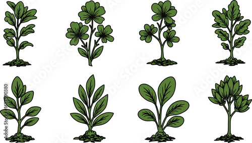 various types of plants illustrated in simple green drawings