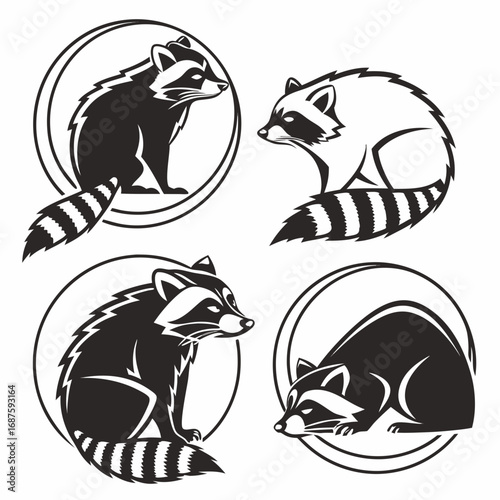 Collection of four stylized raccoon illustrations in circular frames vector art vector