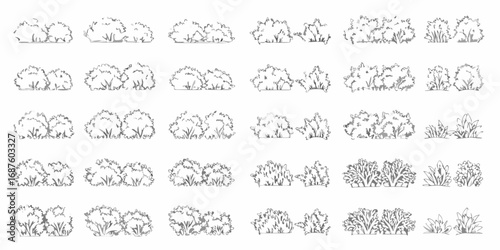 Collection of hand drawn sketch style bushes and shrubs for landscaping and garden design