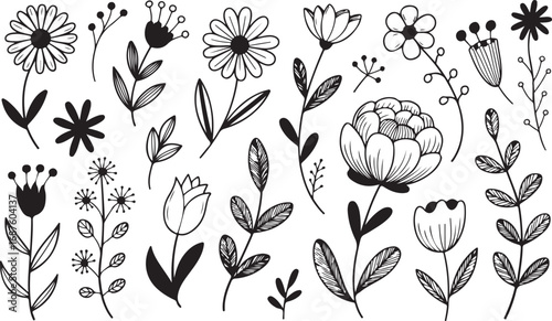 Botanical Hand Drawn Floral Vector Elements for Decoration and Illustration Projects