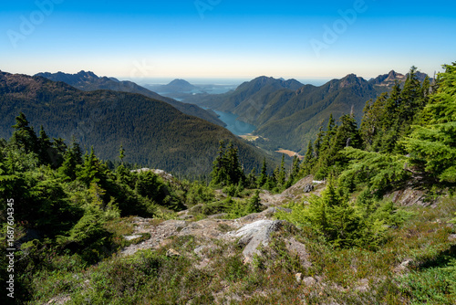 Looking down from the top of a mountain at the sounds of western Vancouver Island, Canada