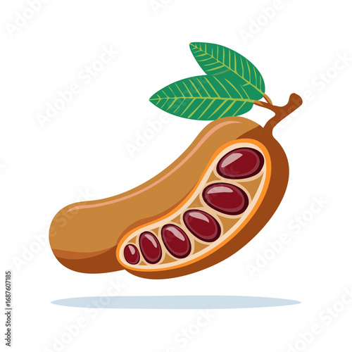 Sliced Tamarind Pod Fruit with Leaves Vector Illustration Fresh Exotic Tropical Ingredient