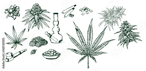 Set of hand drawn cannabis leaves, bong, smoking pipes. Design element for poster, card, banner