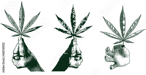 Set of hand drawn cannabis leaves, bong, smoking pipes. Design element for poster, card, banner
