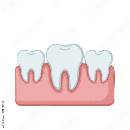 Diagram of healthy teeth and gums showing root structure and enamel layers