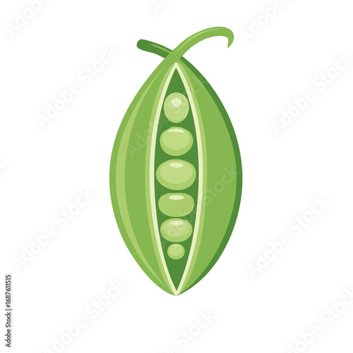 Fresh green pea pod opened to reveal round peas inside, a vector icon for healthy food
