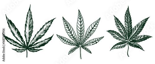 Set of hand drawn cannabis leaves, bong, smoking pipes. Design element for poster, card, banner