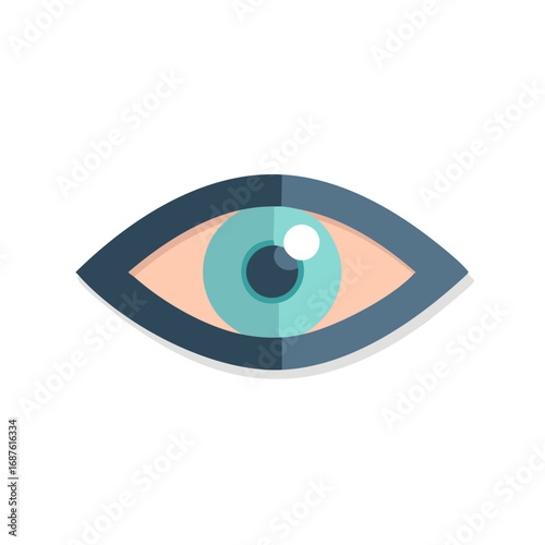 Illustrated eye with aqua iris and dark blue outline, stylized human vision, isolated design.