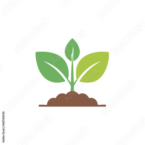 Vibrant green seedling plant sprouting from brown soil symbolizing new life and organic growth