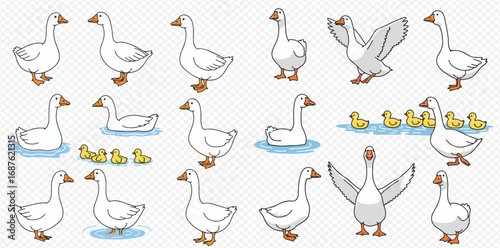 A collection of cute cartoon geese and goslings in various poses, including standing, swimming, and spreading wings, on a transparent background.