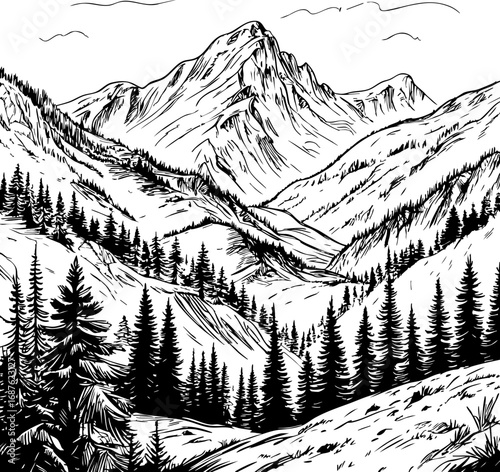 Mountain forest landscape sketch fine line vector drawing with coniferous trees isolated