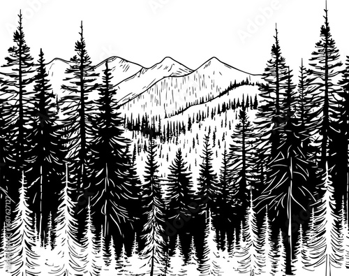 Outline vector of pine forest landscape minimalist black line illustration on white