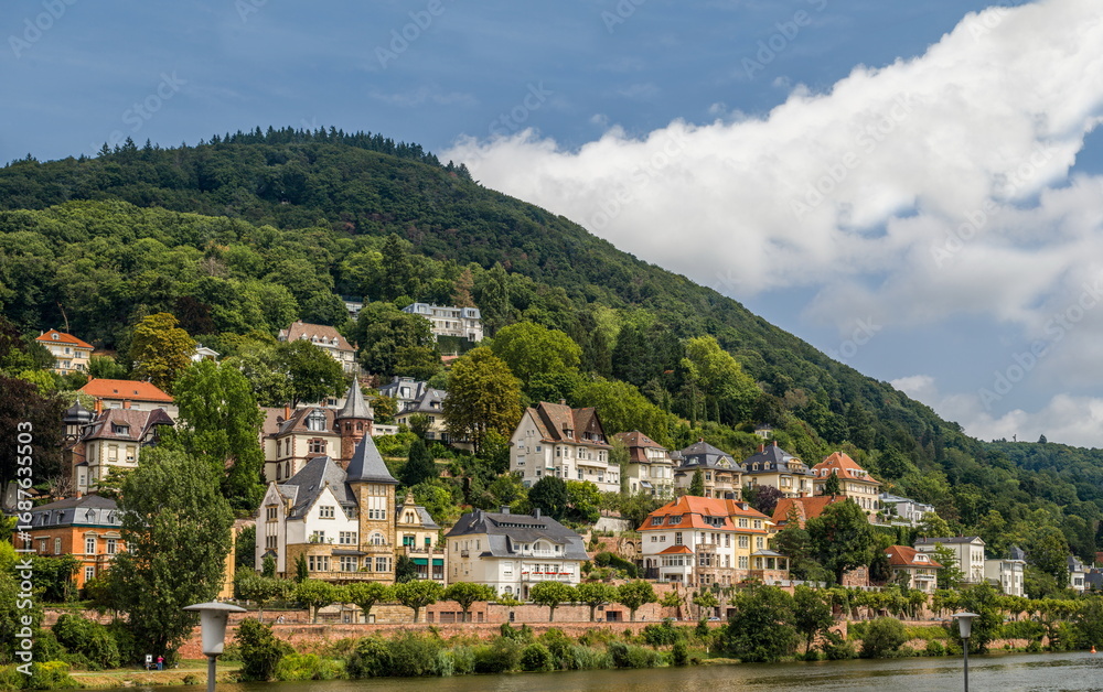 Naklejka premium Villas and apartments overlook the river, harmonizing city life with nature.