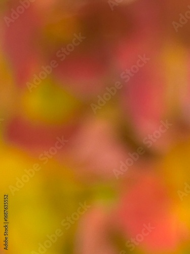 abstract colorful background orange pink salmon 