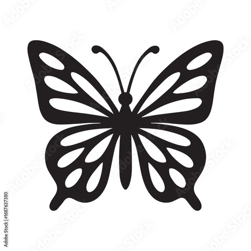 Black butterfly with open wings insect white