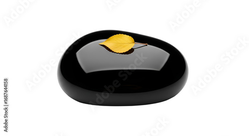 Elegant black, polished object with a single golden leaf, symbolizing remembrance, autumn, or peaceful reflection. Ideal for funeral services, fall marketing, luxury brand design,