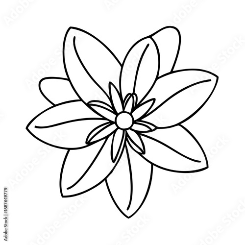 Vector art of delicate flower with symmetrical petals, a simple yet elegant botanical illustration in black and white line art
