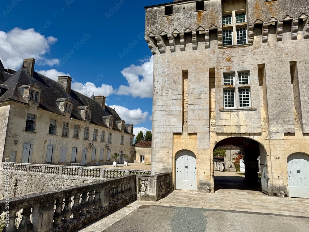Fototapeta premium Château de la Roche-Courbon