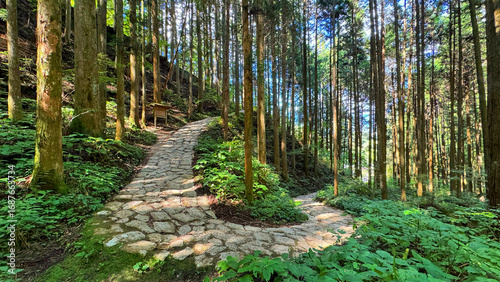 stone path in japanese forest