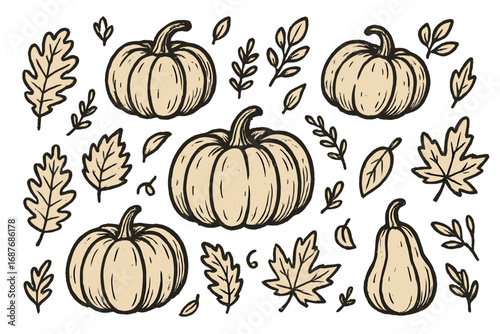 Autumn Harvest Doodles. Autumn harvest doodle set: hand drawn pumpkins and leaves, isolated transparent background
