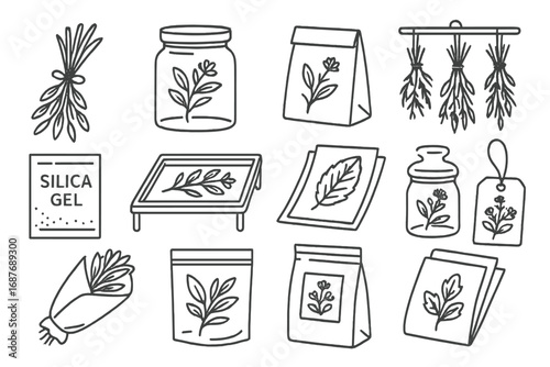 Dye Plant Preservation Icons. Line style icons of dye plant preservation: dried herb bundle, sealed jar, paper sachet, hanging