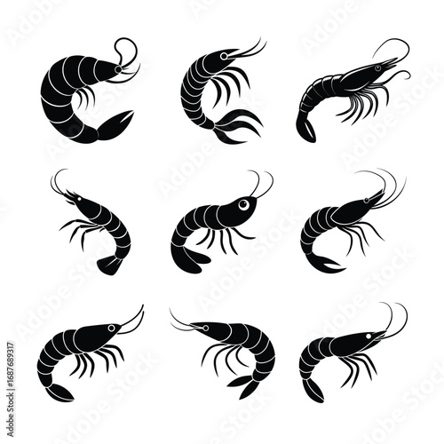 Shrimps Vector Bundle | Colorful Seafood and Marine Animal Illustrations