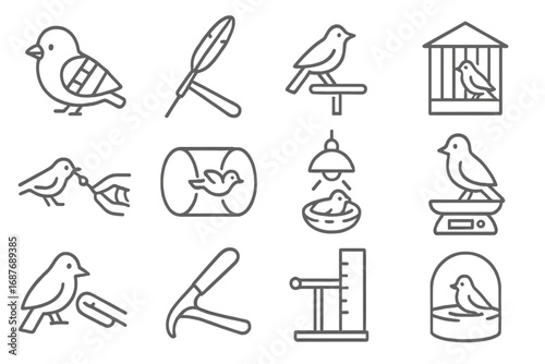 Bird Rehabilitation Icons. Line style icons of bird rehabilitation: wing splint, feather repair tool, small bird perch, aviary