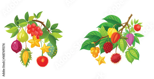 Clusters of exotic tropical fruits hanging from branch vector art design illustration