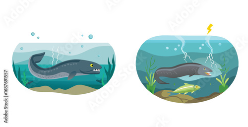 Electric eel emitting visible electric pulses underwater vector art design illustration