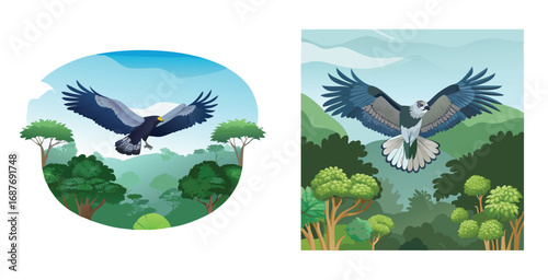 Harpy eagle soaring high above the amazon rainforest vector art design illustration