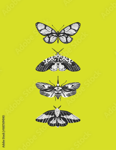 Artistic moth butterfly collection t-shirt design with detailed natural art vector
