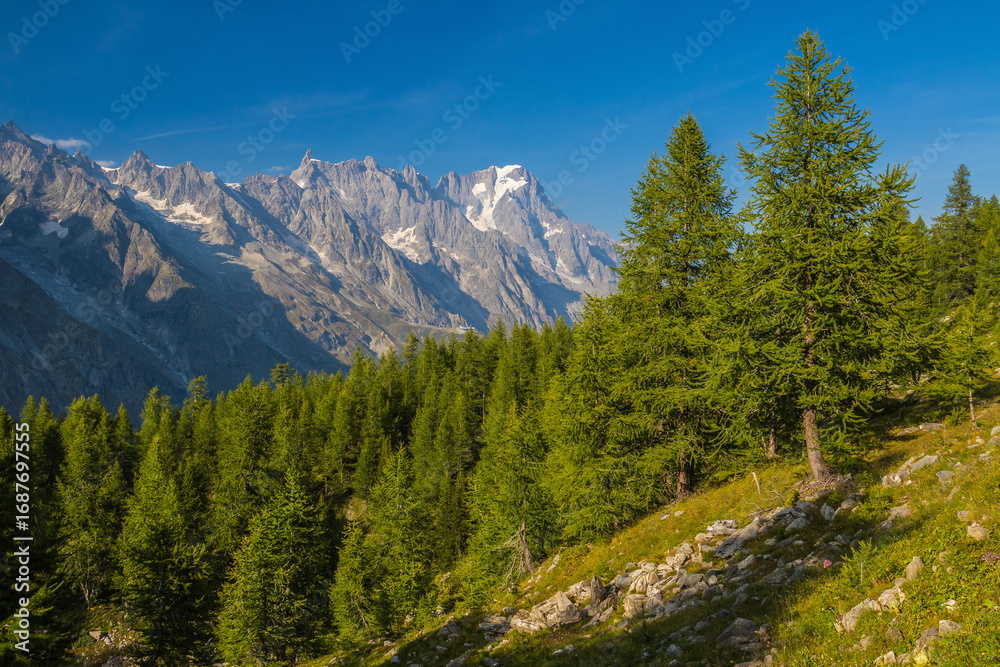 Fototapeta premium From Tour du Mont Blanc - Italy