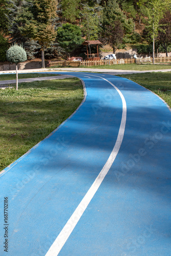 Wallpaper Mural Curved blue bicycle path with white center line in a city park. Dedicated cycling lane, empty and clean. Perfect for fitness, mobility, urban planning, healthy lifestyle visuals, banner, blog Torontodigital.ca